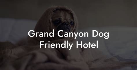 THE 10 BEST Mountain Home Pet Friendly Hotels .